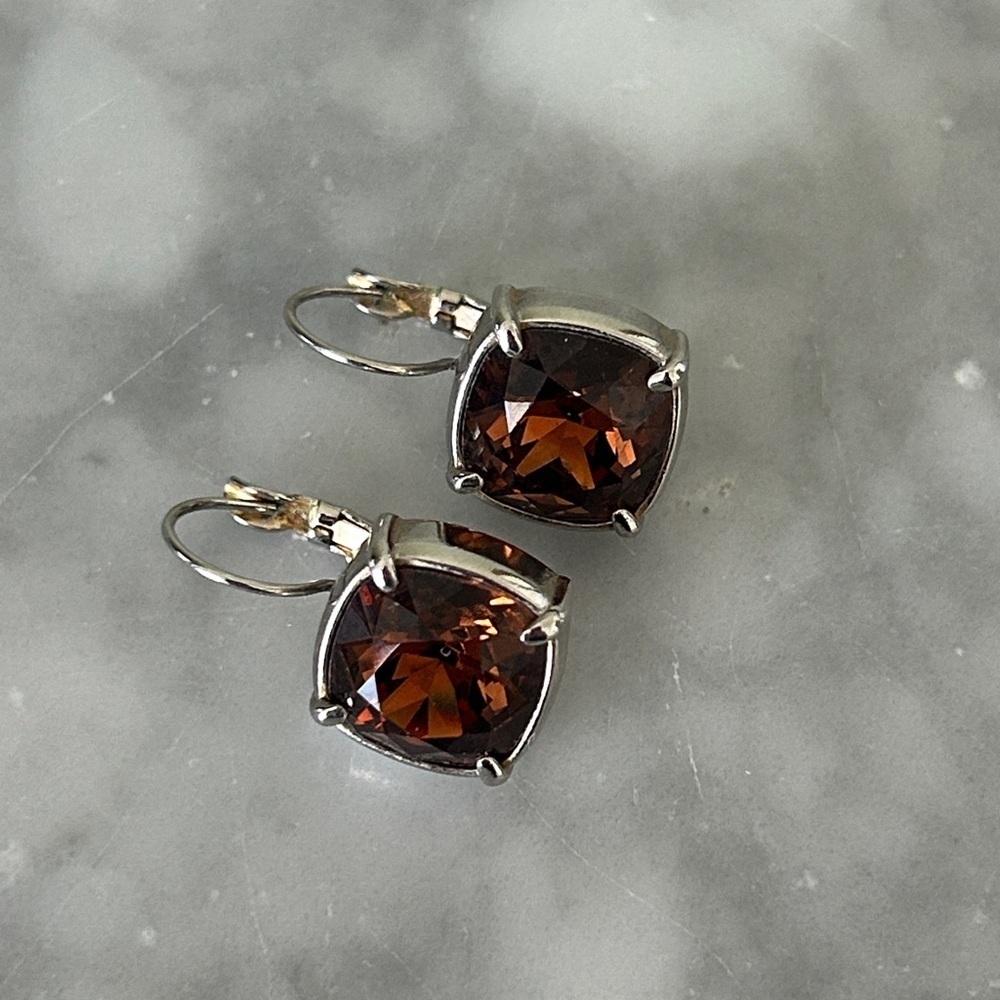 Chic Silver and Brown Crystal Earrings - Picture 3 of 6